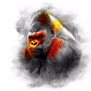 FIRE SERIES - GORILLA
