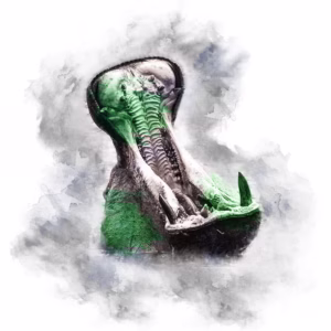 GREEN SERIES - HIPPO