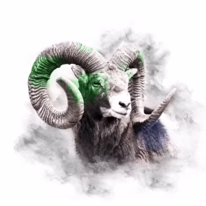 GREEN SERIES - RAM