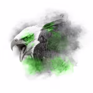 LIME SERIES - BALD EAGLE