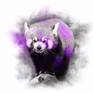 PURPLE SERIES - RED PANDA
