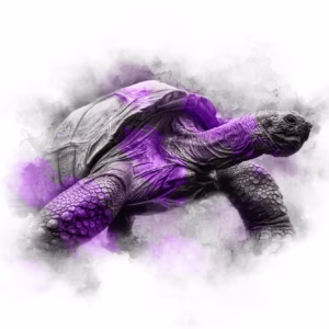 PURPLE SERIES - TORTOISE