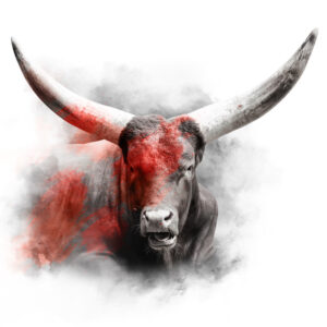 RED SERIES - ANKOLE BULL