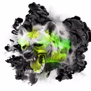 VENOM ACID - HYENA