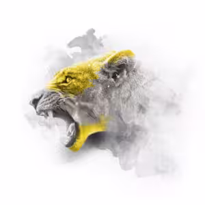 YELLOW SERIES - LIONESS