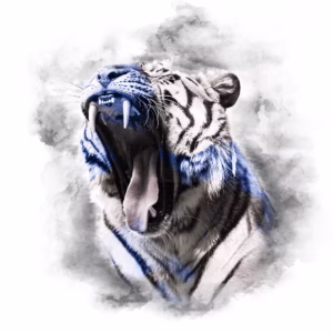 BLUE SERIES - TIGER